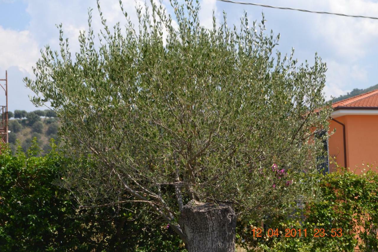 Oasi Peppa Villa Ascea Buitenkant foto
